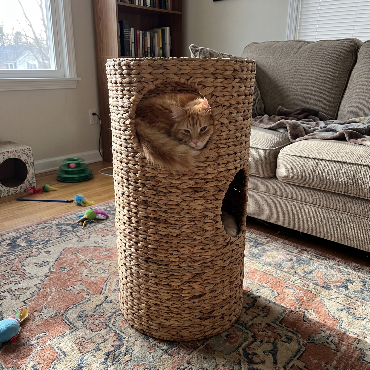 Pet using the product in a real home