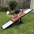 Pet using the product in a real home