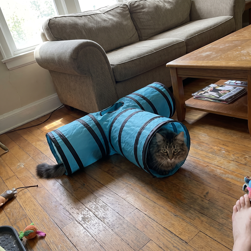Pet using the product in a real home