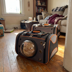 Pet using the product in a real home