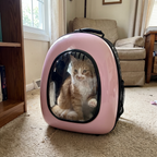 Pet using the product in a real home