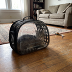 Pet using the product in a real home