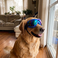 Pet using the product in a real home
