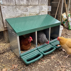 Pet using the product in a real home