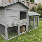 Pet using the product in a real home