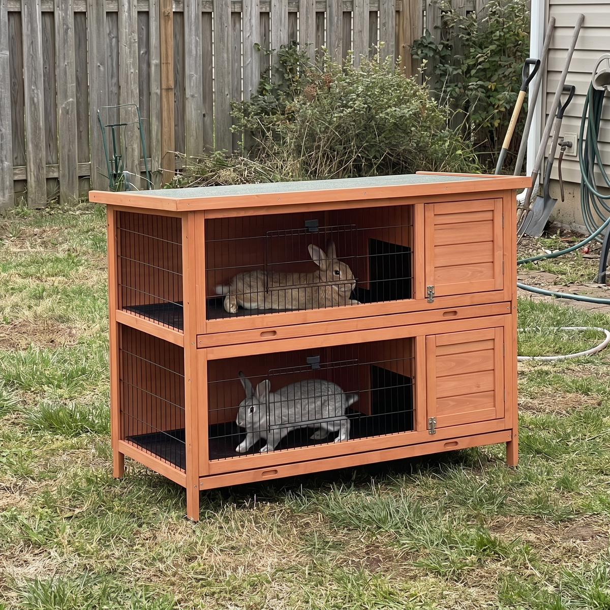 Pet using the product in a real home