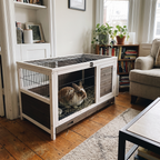 Pet using the product in a real home