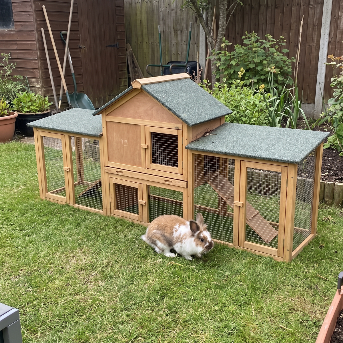 Pet using the product in a real home