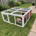 Pet using the product in a real home