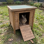 Pet using the product in a real home
