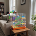 Pet using the product in a real home
