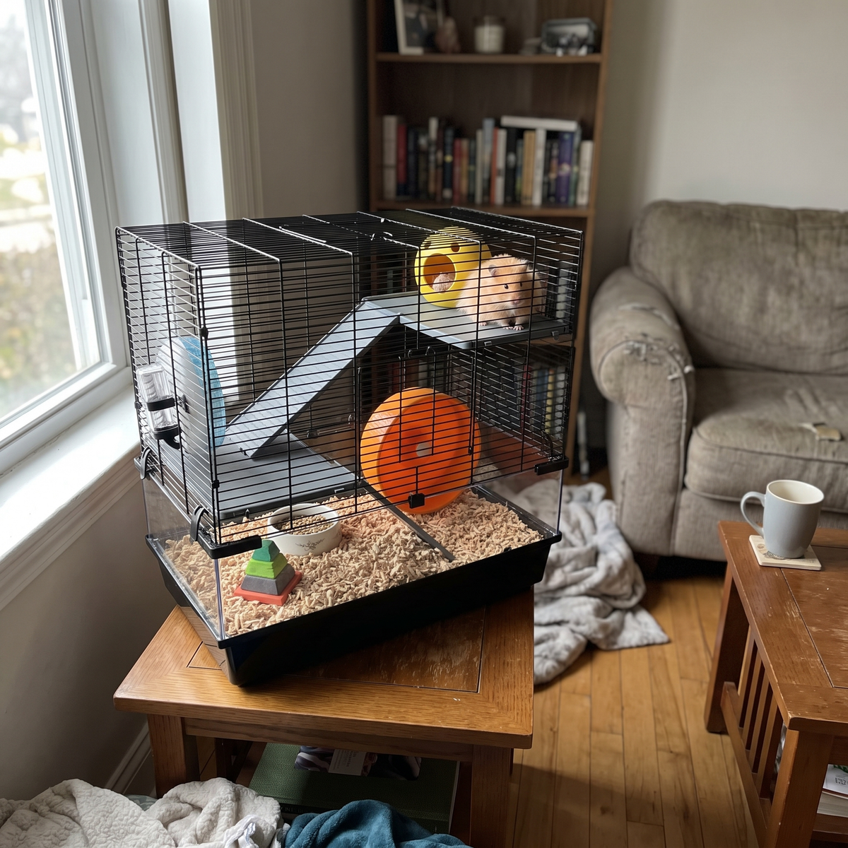 Pet using the product in a real home