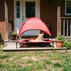 Corgi resting on the elevated dog cot on a sunny porch step - lifestyle v2