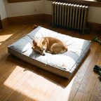 Corgi resting in the pet sofa bed on a hardwood living-room floor in morning light - lifestyle v2