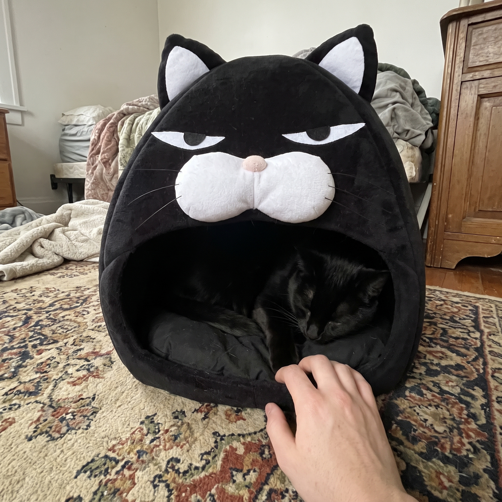 Black cat lies inside the black cat-face hooded cave bed on a patterned rug.