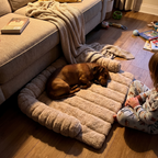 Dachshund asleep on the plush thermal pet mat beside a sofa in warm lamp light - lifestyle v2