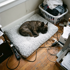 Overhead view of a french bulldog lying on the velvet plush pet bed in a home office corner - lifestyle v2