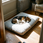 Beagle asleep on the velvet plush pet bed on a sunlit hardwood living room floor - lifestyle v2