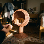 Ginger tabby settled in the woven rattan egg-chair cat bed on a bedroom rug - lifestyle v2