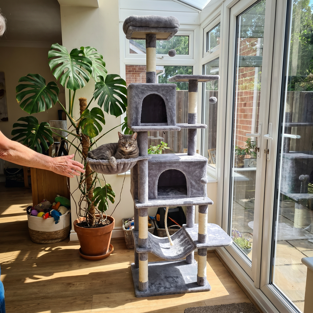 Grey tabby cat resting on the cat tree tower in a sunny sunroom - lifestyle v2
