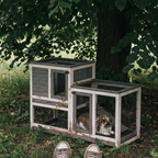 Lop-eared rabbit in the elevated hutch run under a shady backyard tree - lifestyle v2
