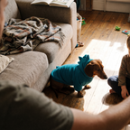 Dachshund in the fleece hoodie beside the sofa with a child - lifestyle v2