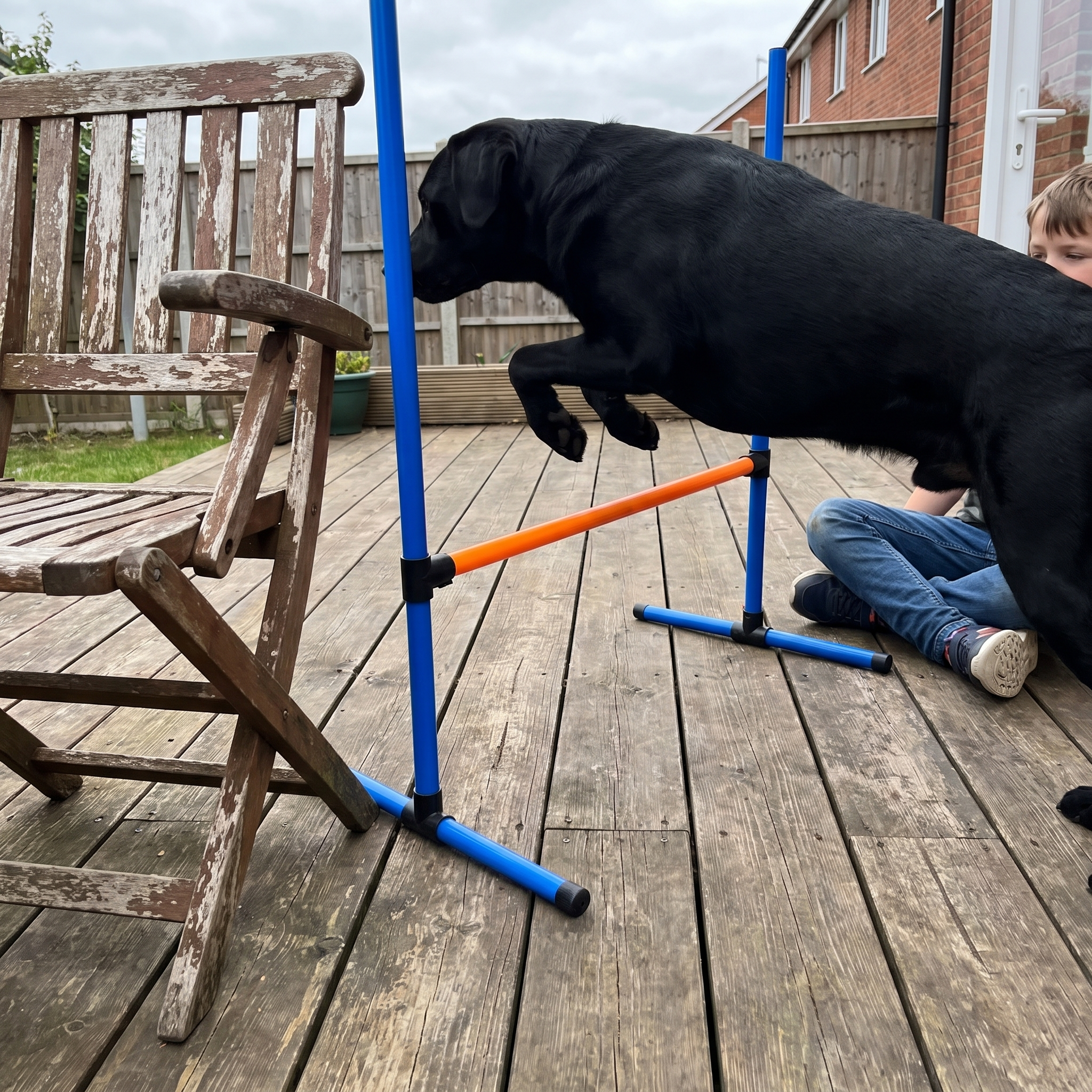Black labrador jumping the agility hurdle on a patio deck - lifestyle v2