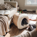 Russian blue cat asleep inside the calming cat cave bed by the sofa - lifestyle v2