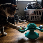 Calico cat playing with the windmill feather teaser toy in a home office corner - lifestyle v2