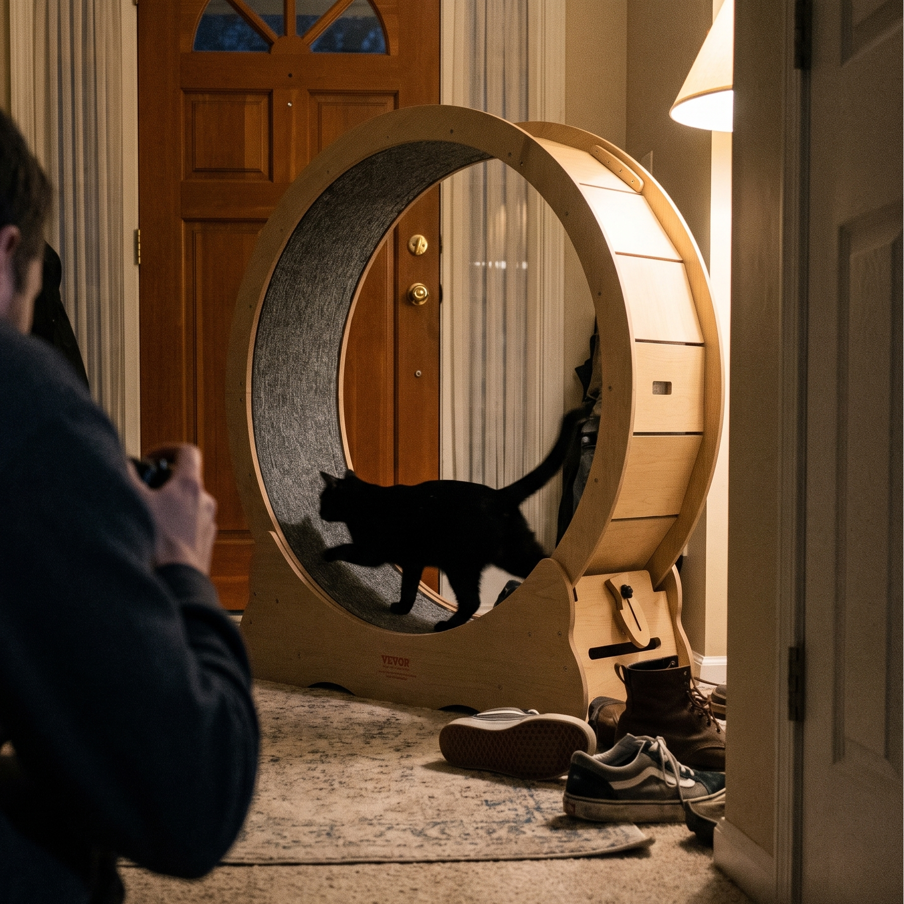 Black cat running in the wooden exercise wheel in a hallway - lifestyle v2