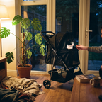 Tuxedo cat sitting in the pet stroller in a sunroom - lifestyle v2