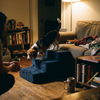 Beagle climbing the plush foam pet stairs by the sofa - lifestyle v2