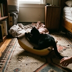 Black cat on the corrugated cardboard scratcher board in a bedroom - lifestyle v2