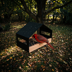 Cardinal feeding from the hanging metal bird feeder in a shady backyard - lifestyle v2