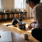 Tuxedo cat drinking from the circulating pet water fountain in an apartment living room - lifestyle v2