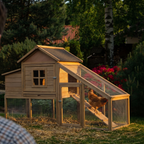 Brown hen walking down the ramp of the wooden chicken coop in a backyard run - lifestyle v2