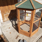 Canary perched inside the hexagonal wooden flight aviary on a porch step - lifestyle v2