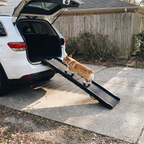 Corgi walking up the folding dog ramp into an SUV - lifestyle v2