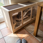 Gerbils climbing the ramps inside the wooden multi-level cage - lifestyle v2