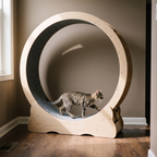Wooden 36 inch cat exercise wheel with a cat running inside, in a hallway - wrenwood hero