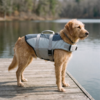 Dog wearing the grey buoyant life jacket on a lakeside dock - wrenwood hero