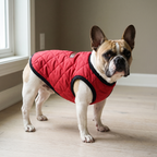 French bulldog wearing the red sleeveless cotton dog vest in a home hallway - wrenwood hero