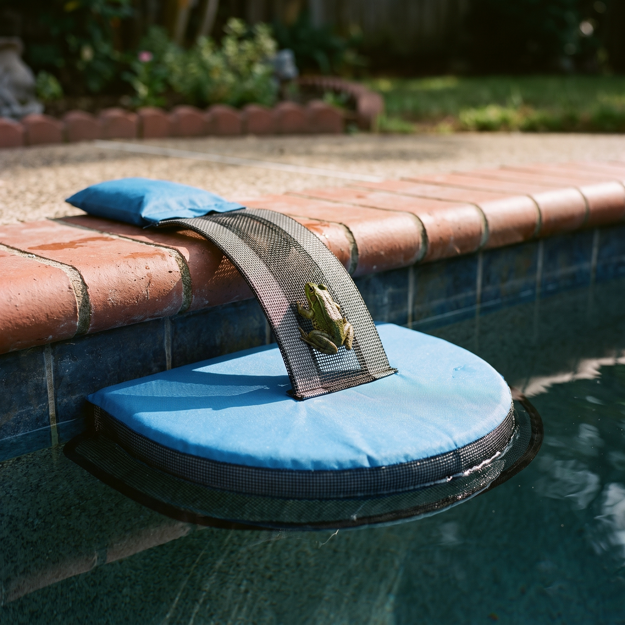 Floating pool animal escape ramp at the edge of a backyard pool - wrenwood hero