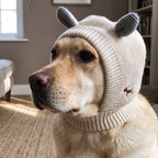 Labrador wearing the cream knitted winter beanie, ears covered - wrenwood hero