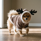 Small dog wearing the plush hooded reindeer holiday pullover indoors - wrenwood hero