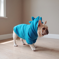 French bulldog wearing the teal fleece dog hoodie with spiked hood - wrenwood hero