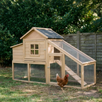 Wooden chicken coop with ramp and run in a backyard - wrenwood hero