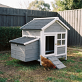 Grey and white wooden chicken coop with ramp in a backyard - wrenwood hero