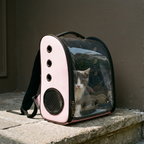 Pink foldable bubble pet backpack carrier with a cat inside on a porch step - wrenwood hero