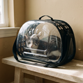 Clear bubble space-capsule pet carrier with a cat resting inside - wrenwood hero